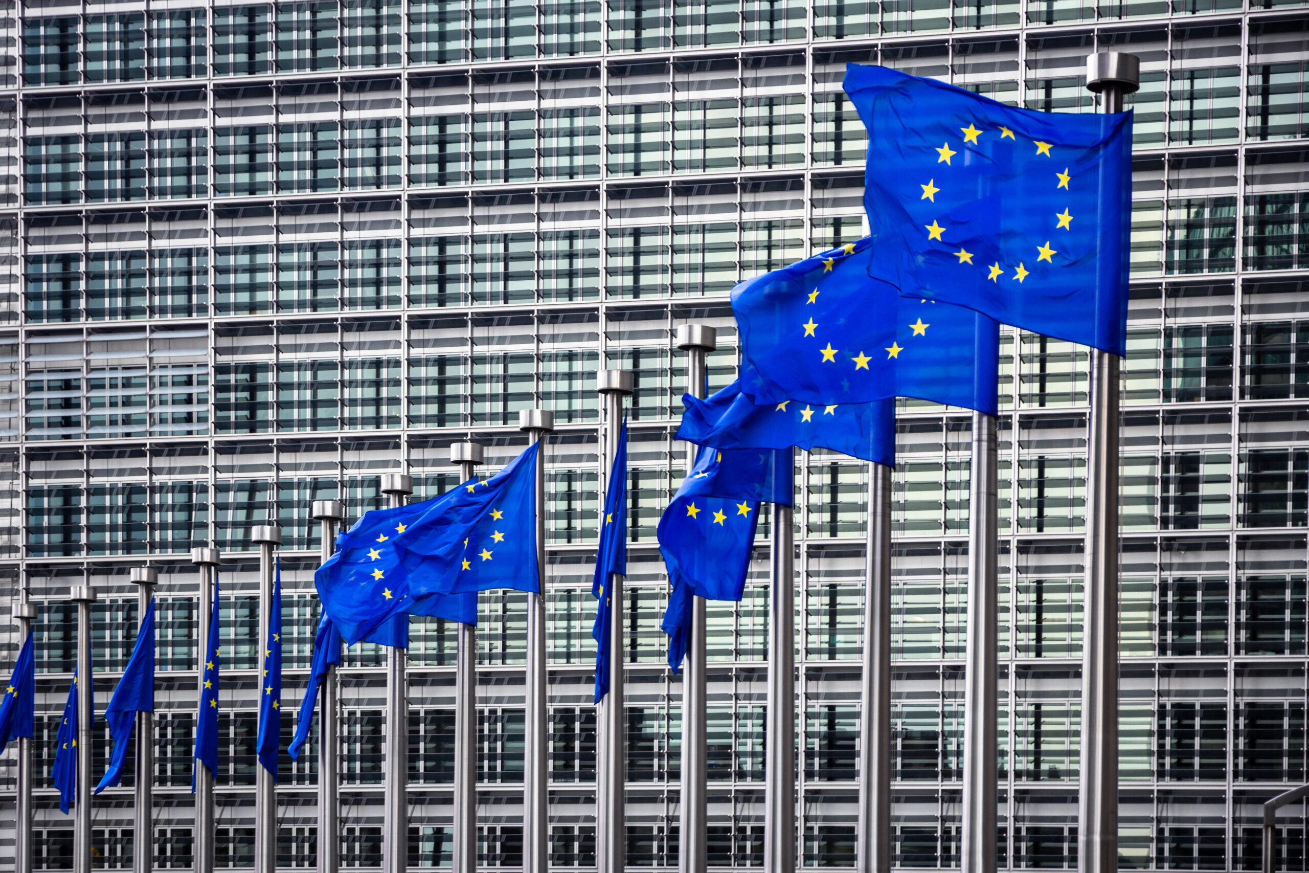 row,of,eu,flags,in,front,of,the,european,union